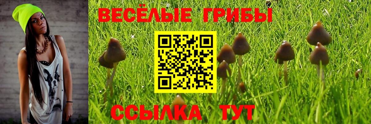 Ейск  Галлюциногенные грибы Magic Shrooms  Вход с VPN  Галлюциногенные грибы мухоморы 