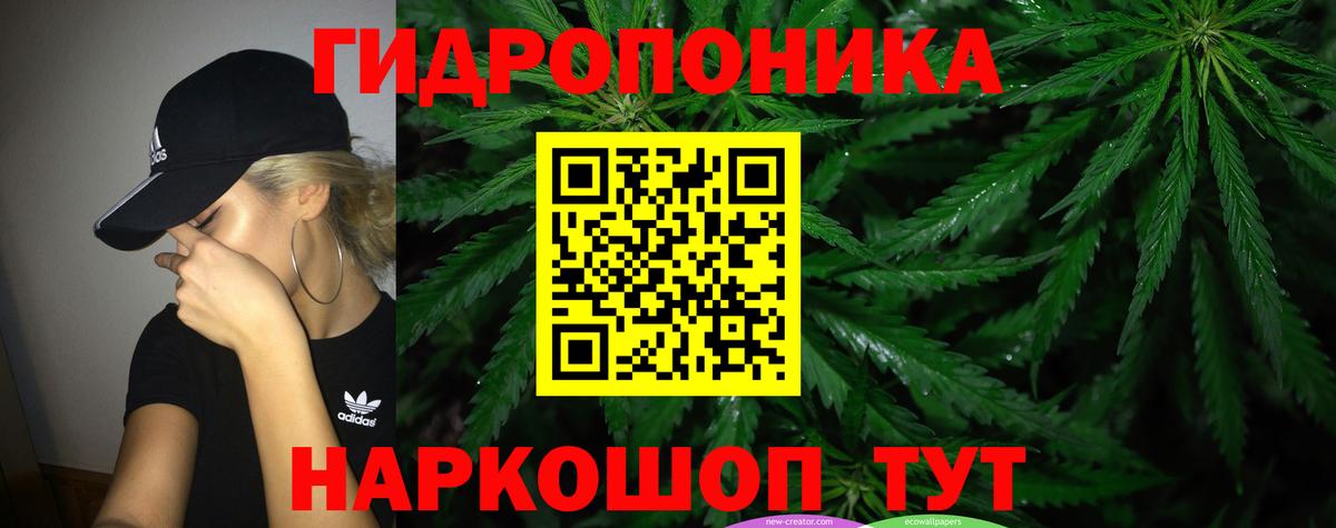 Каннабис OG Kush Ейск